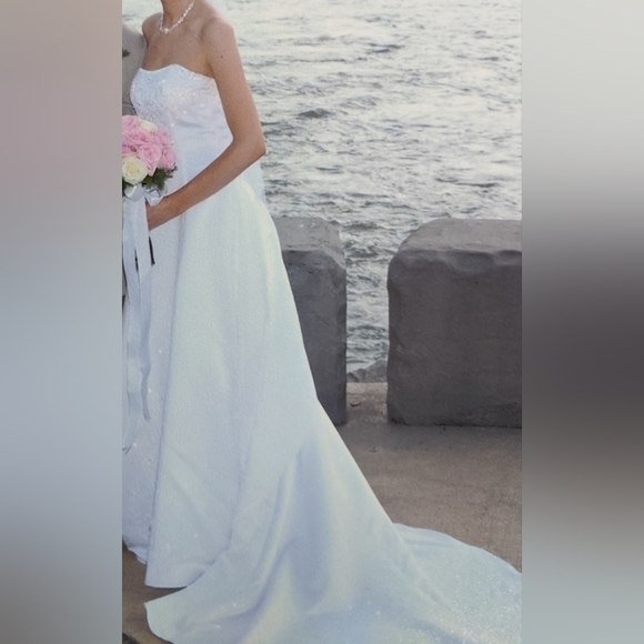 Wedding Gown - Picture 15 of 15